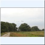 exk230806_0150.jpg